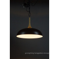 Good Quality Morden Wood Metal Pendant Lights (MD21162-1-500)